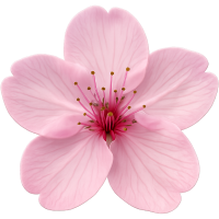 Pinksakuraflower Emoji