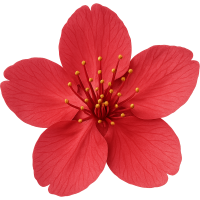 Redsakuraflower Emoji