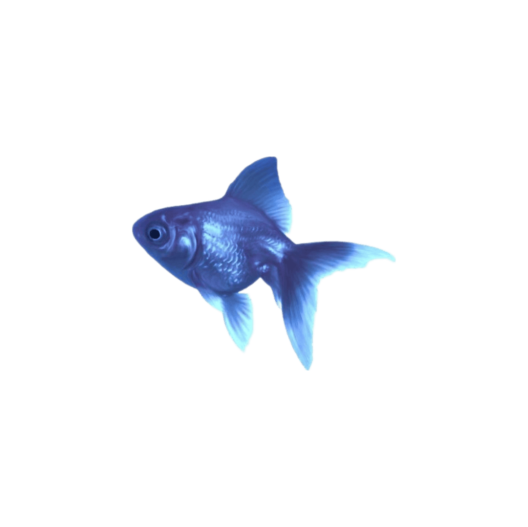 blue_fish Emoji