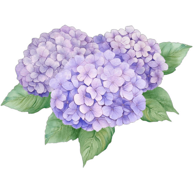 WCPurpleHydrangea Emoji