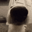 Sniff Emoji