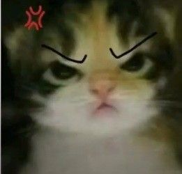 Catangry Emoji