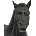HorseEugh Emoji