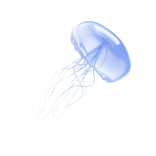 Jelly_fish22 Emoji