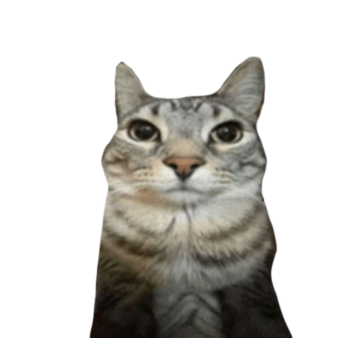 cat_stare Emoji