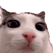 plink Emoji