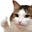 Thumb Emoji