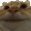 Yes Emoji