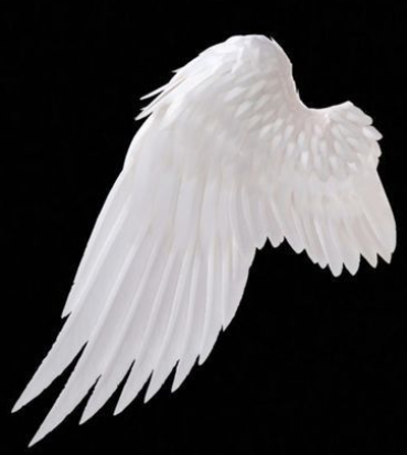 wingL Emoji