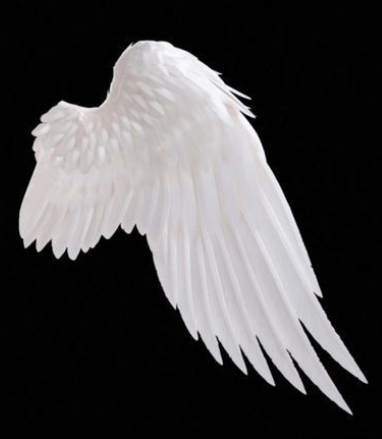 wingR Emoji