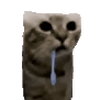 DroolingCat Emoji