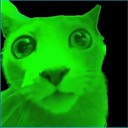 Greencatmeme Emoji
