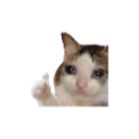 CatThumbsup_3 Emoji