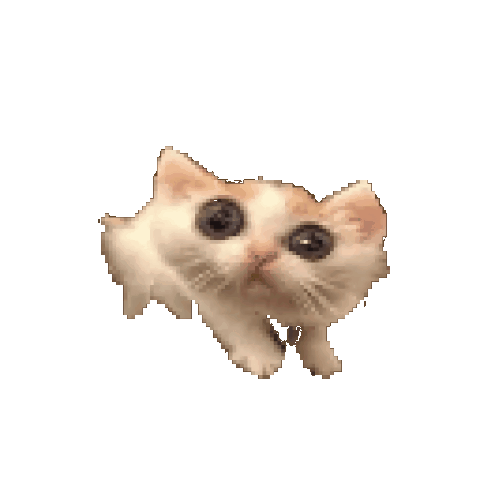 CatScared Emoji