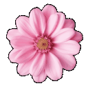Pinkflowergif Emoji