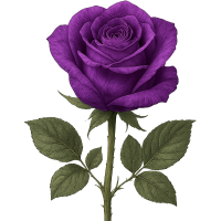 Purple_rose Emoji