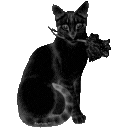 blackcatrose Emoji