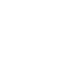 shield Emoji