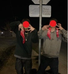 NorteX4 Emoji