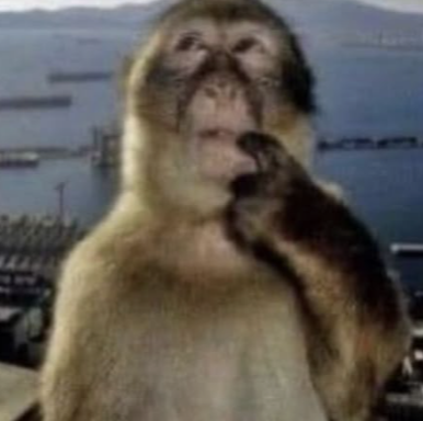 monkeythinking Emoji