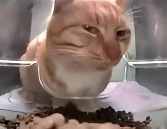 suscat Emoji