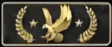 LegendaryEagleMaster Emoji