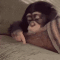 bored_monkey Emoji
