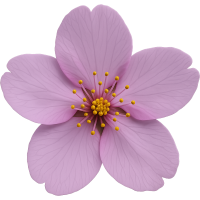 Purplesakuraflower Emoji