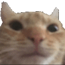 crunch Emoji