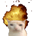 boomcat Discord Emoji