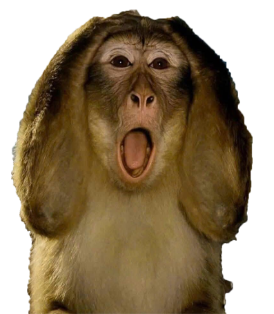 monkeypanicked Emoji