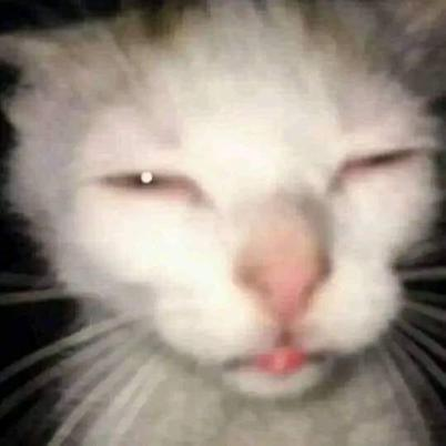 tiredcat Emoji