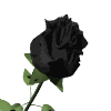 blackroseblooming Emoji