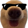dawg_cool Emoji