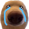 dawg_cry Discord Emoji