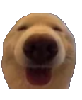 dawg Emoji