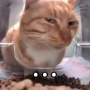 Cat_SideEye Emoji