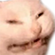 CatKek Emoji