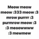 meowtextspam Emoji