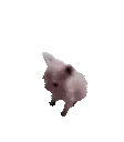 BingusDance Emoji