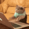 Cat_typing Emoji