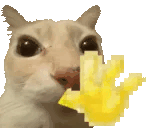 hihihi Emoji