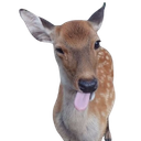 deer Emoji