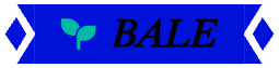Bale Emoji