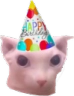 bingusbirthday Emoji