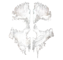 CallofDutyGhost Emoji
