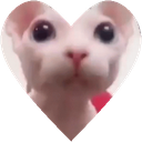 bingusHeart Discord Emoji