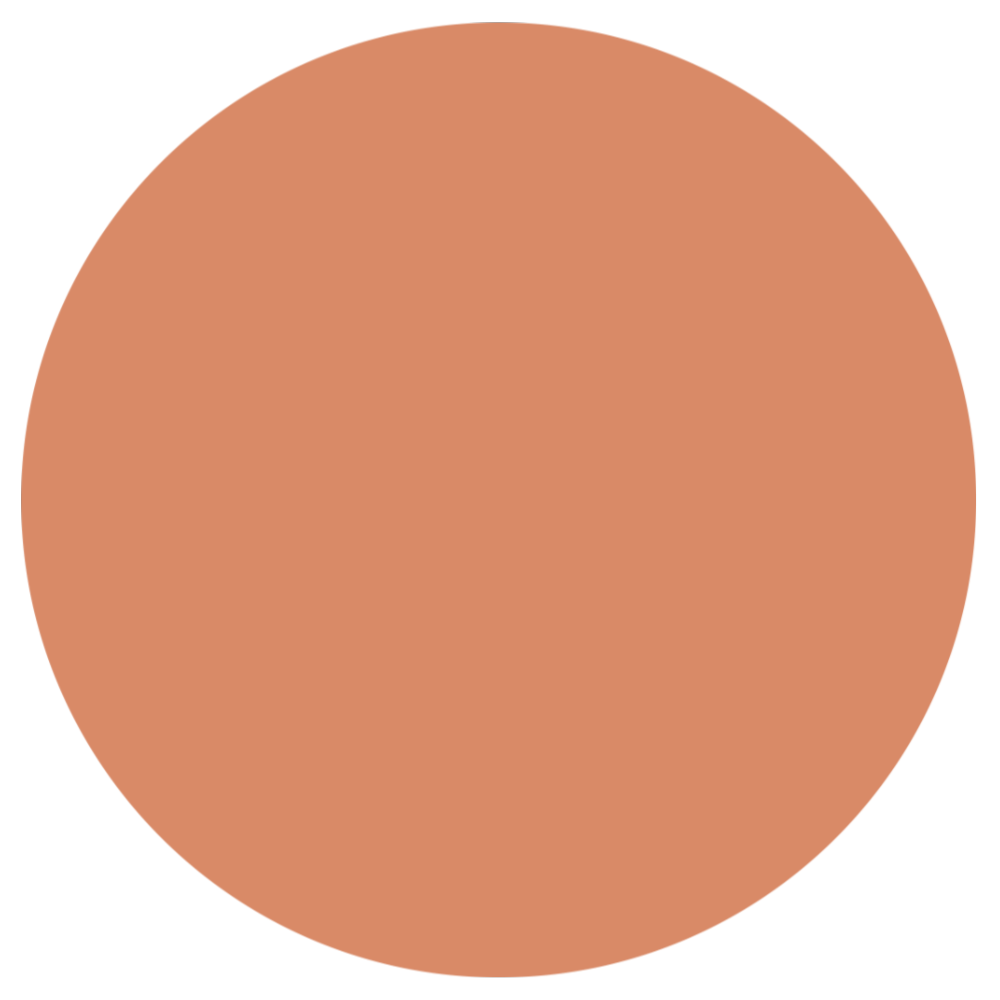 Copper Emoji