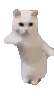 catDance Emoji
