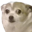 wtf Emoji